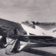 Gee Bee Model C Sportster (David Jackson)
